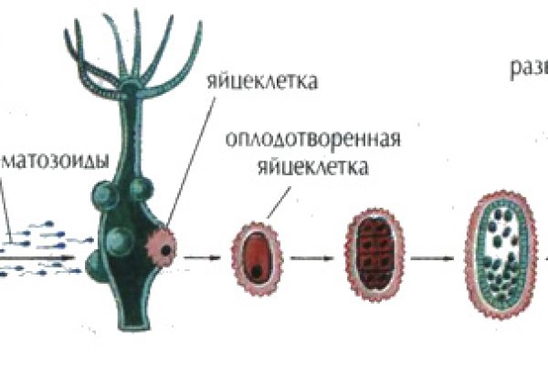 Кракен ссылка настоящая