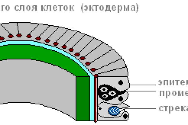 Проблемы со входом на кракен