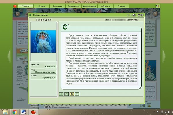 Ссылки мега кракен