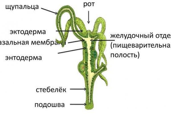 Кракен маркетплейс ссылка