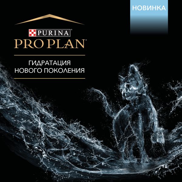 Зайти на кракен тор